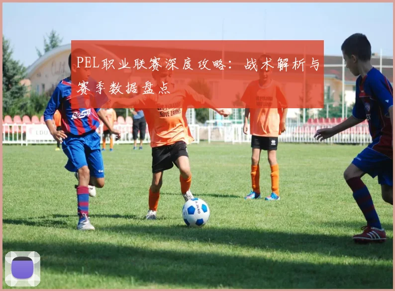 PEL职业联赛深度攻略：战术解析与赛季数据盘点