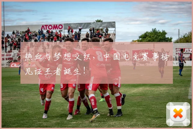 热血与梦想交织,中国电竞赛事榜见证王者诞生!