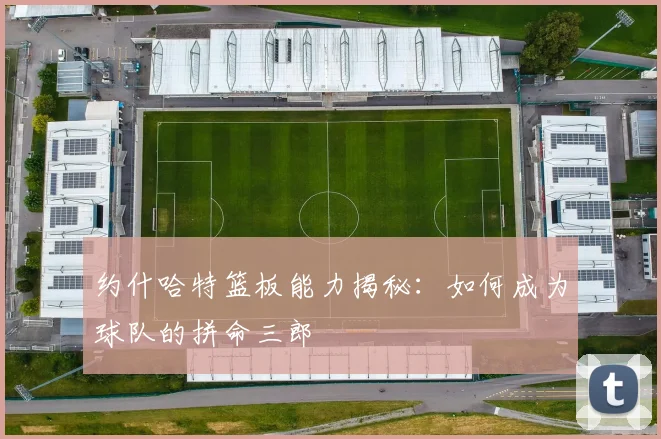 约什哈特篮板能力揭秘:如何成为球队的拼命三郎