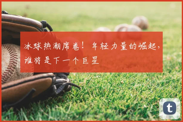 冰球热潮席卷！年轻力量的崛起，谁将是下一个巨星