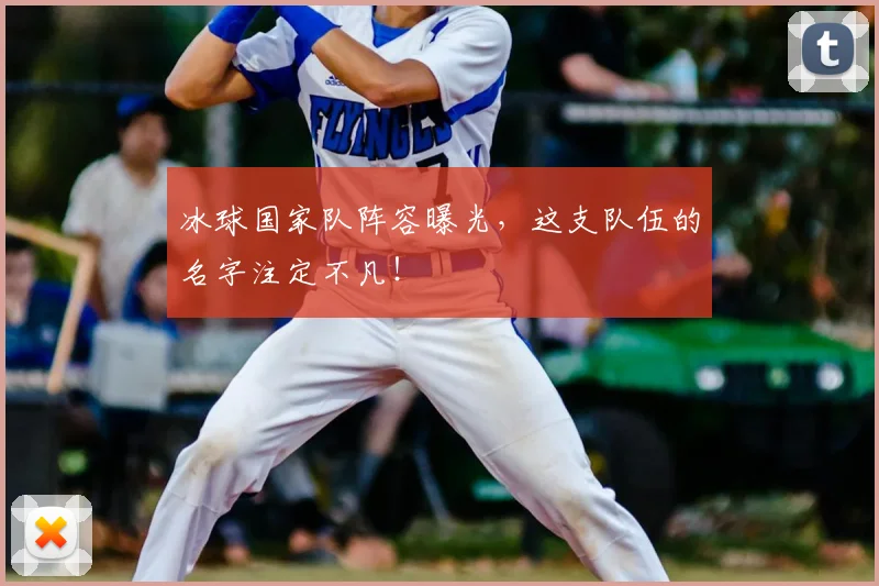 冰球国家队阵容曝光，这支队伍的名字注定不凡！