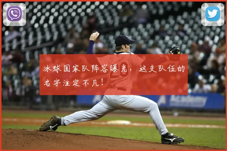 冰球国家队阵容曝光，这支队伍的名字注定不凡！
