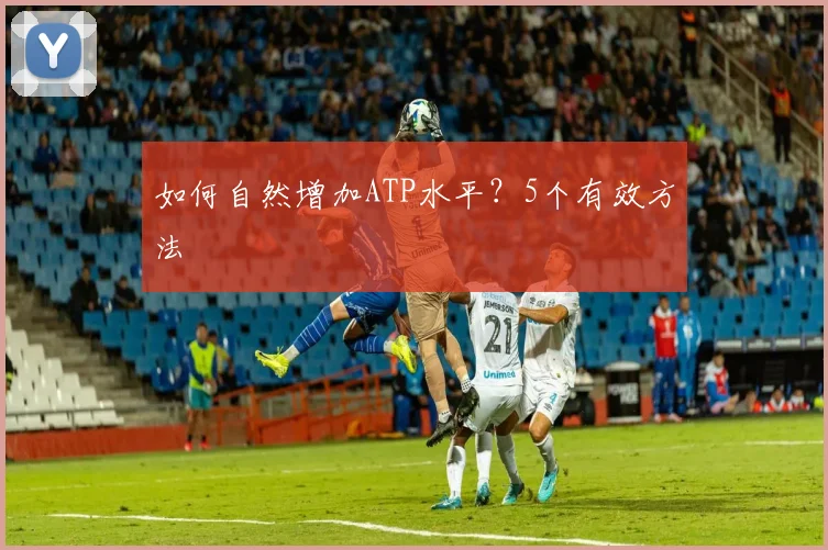 如何自然增加ATP水平?5个有效方法
