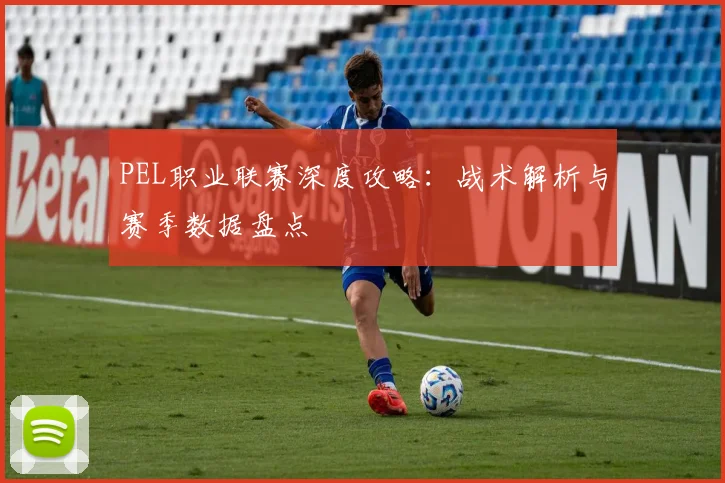 PEL职业联赛深度攻略：战术解析与赛季数据盘点