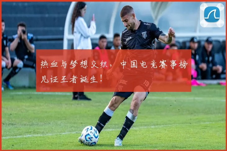热血与梦想交织,中国电竞赛事榜见证王者诞生!
